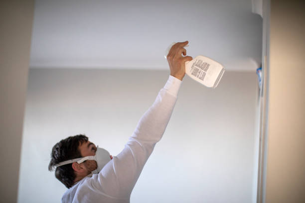 Best Mold Cleaning Services  in Daphne, AL