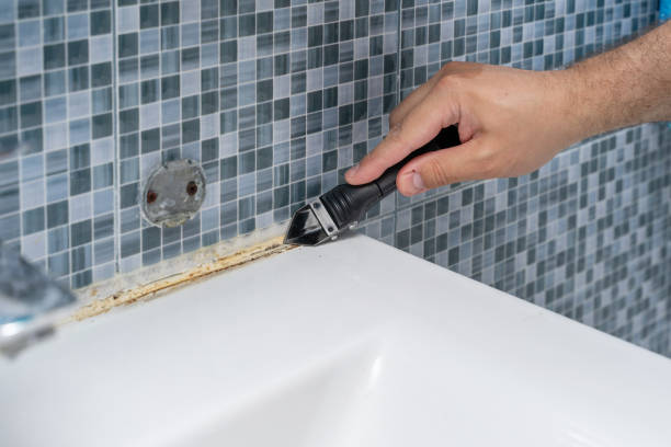 Best Mold Removal Company Near Me  in Daphne, AL