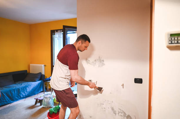 Best Crawl Space Mold Removal  in Daphne, AL